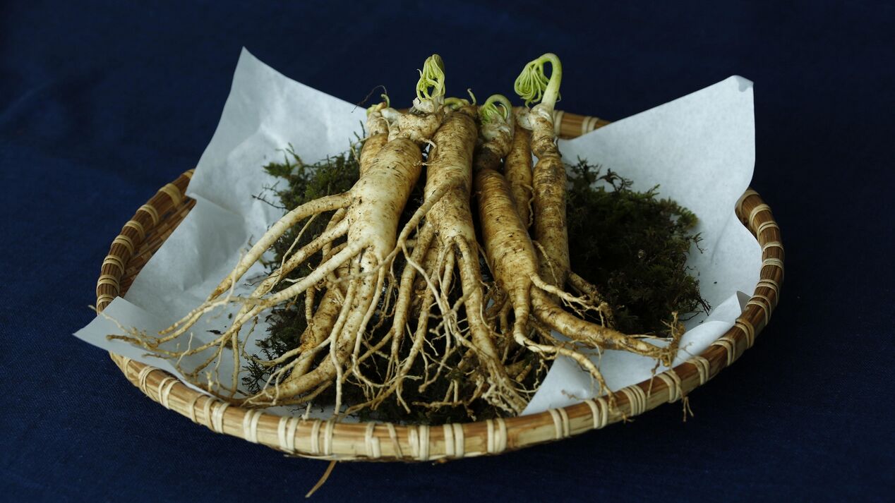 ginseng root to enhance